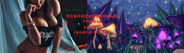 индика Пересвет